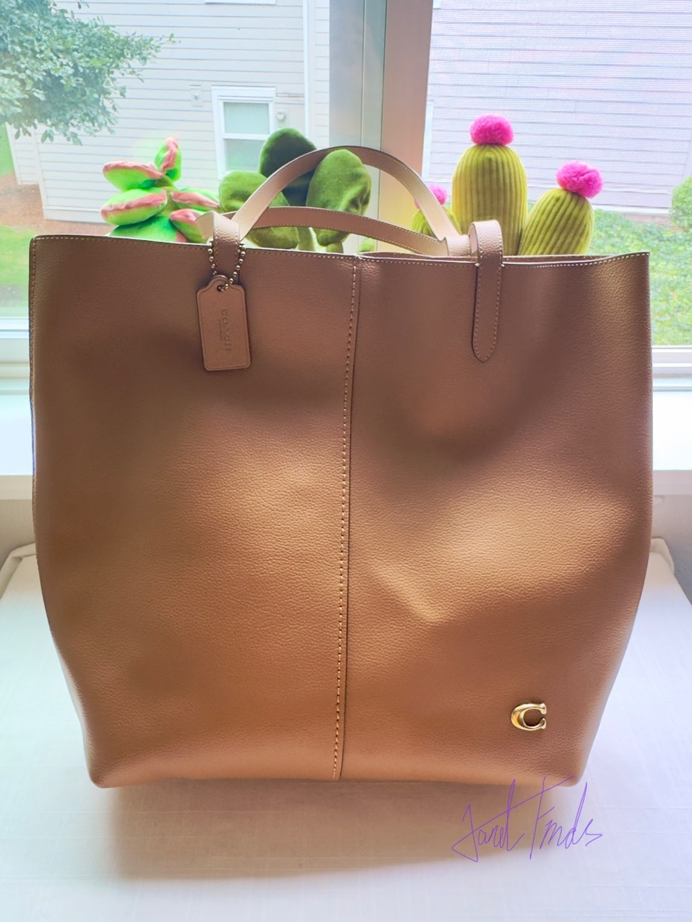 NWOT - COACH North Pebbled Leather Tote – Nordstrom Exclusive